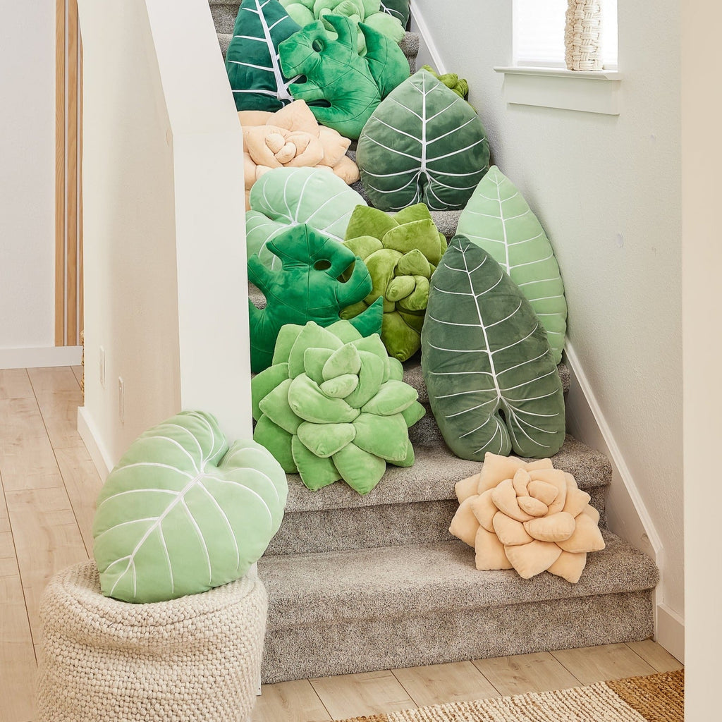 Product view 5 - Lil' Pop Succulent® - Blush Peach - Green Philosophy Co.