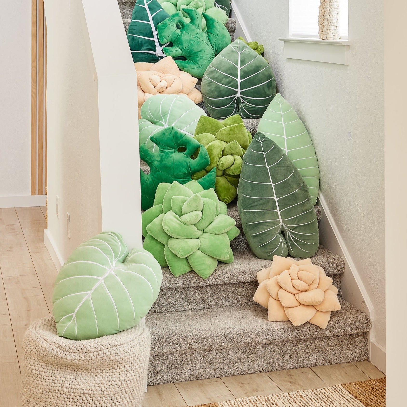 Product view 5 - Lil' Pop Succulent® - Blush Peach - Green Philosophy Co.