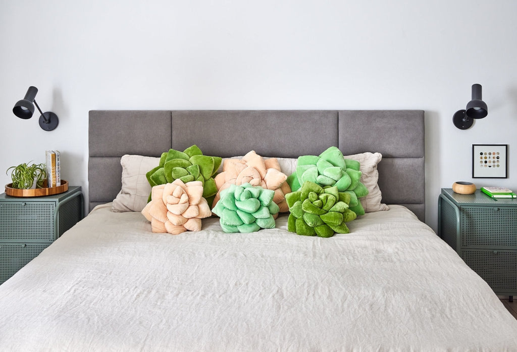 Product view 7 - Lil' Pop Succulent® - Blush Peach - Green Philosophy Co.