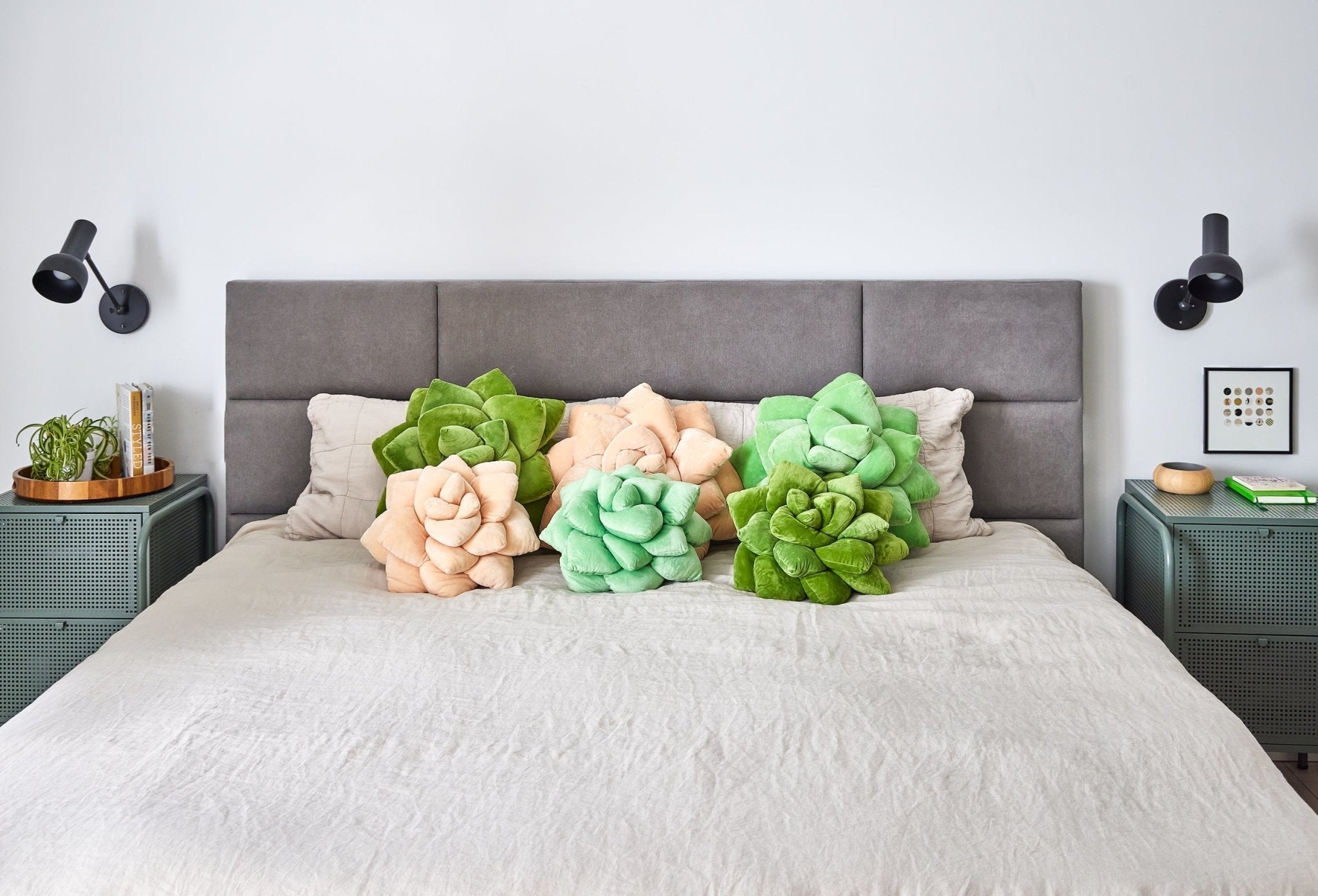 Product view 7 - Lil' Pop Succulent® - Blush Peach - Green Philosophy Co.