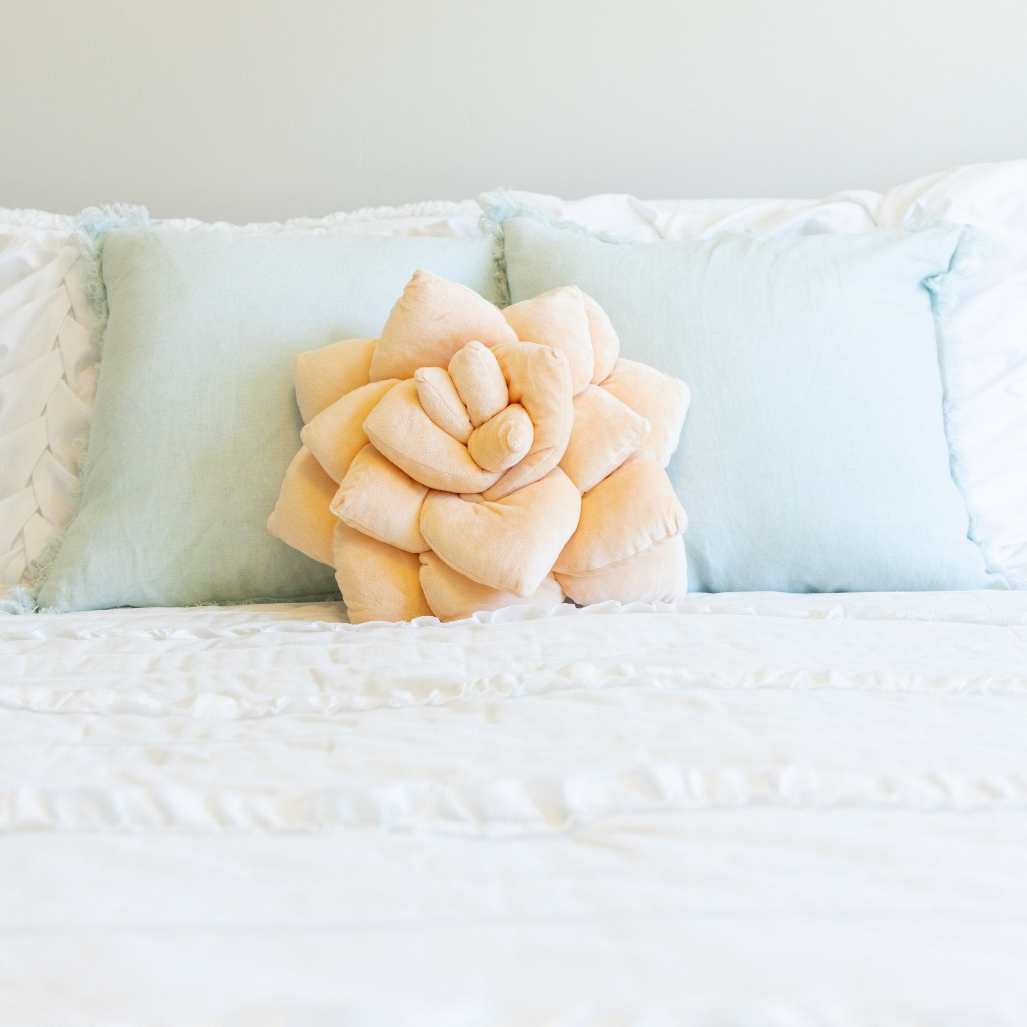 Lifestyle photo showing Lil' Pop Succulent® - Blush Peach in use - Green Philosophy Co.