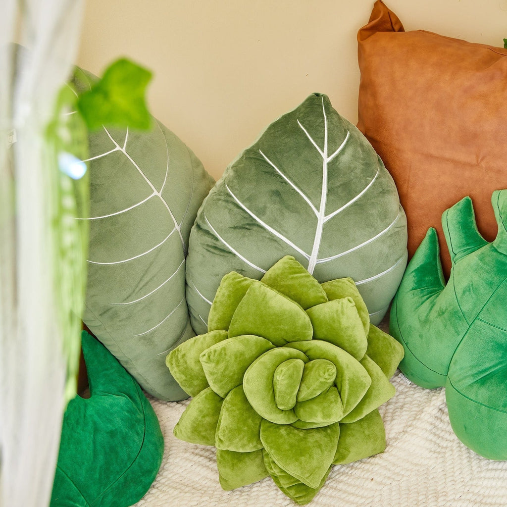 Product view 8 - Lil' Pop Succulent®  - Olive Green - Green Philosophy Co.
