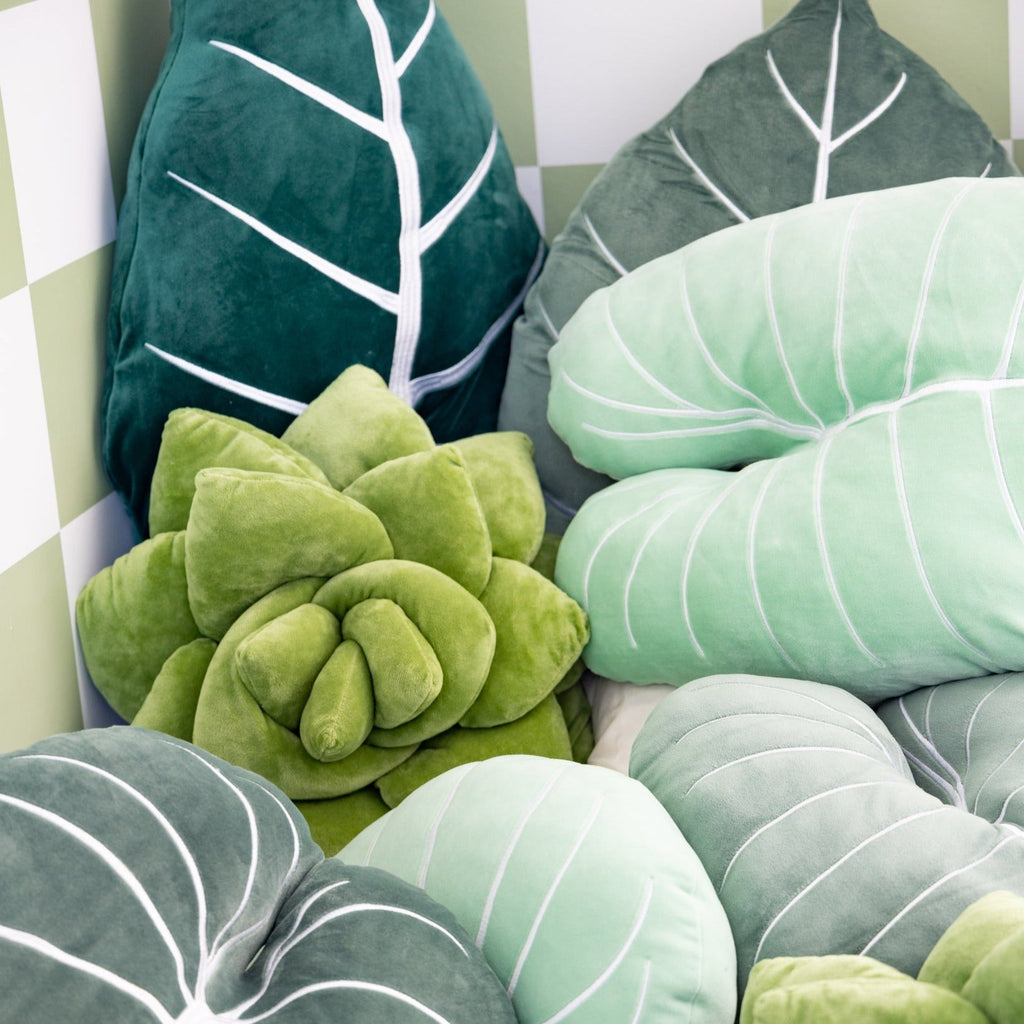 Product view 7 - Lil' Pop Succulent®  - Olive Green - Green Philosophy Co.