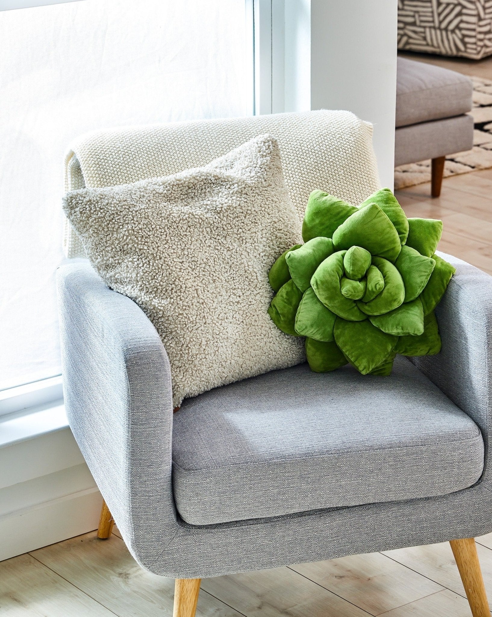 Lifestyle photo showing Lil' Pop Succulent®  - Olive Green in use - Green Philosophy Co.