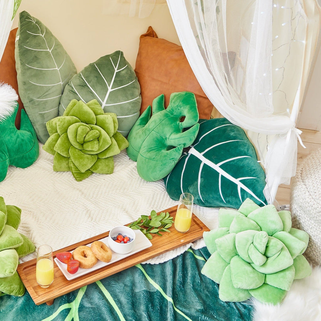 Product view 7 - Lil' Pop Succulent®  - Sage Green - Green Philosophy Co.