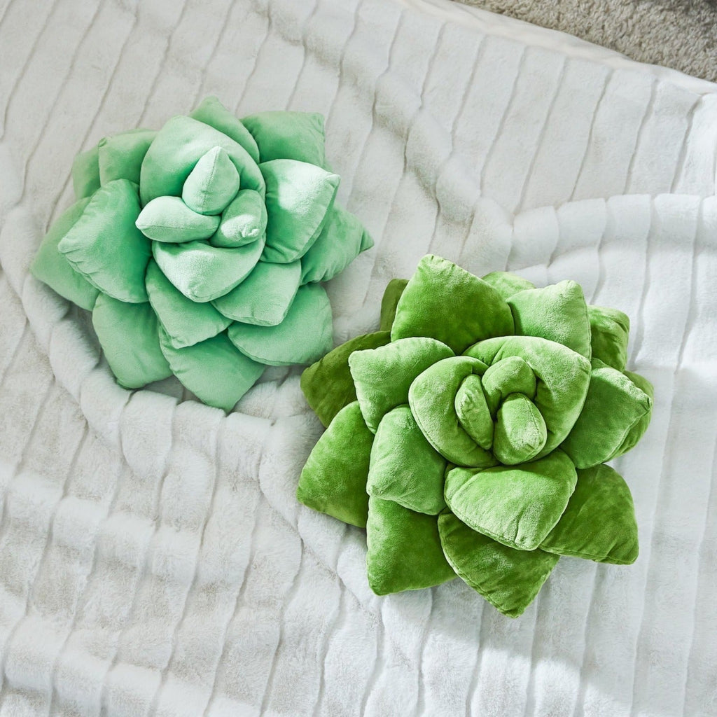 Product view 8 - Lil' Pop Succulent®  - Sage Green - Green Philosophy Co.