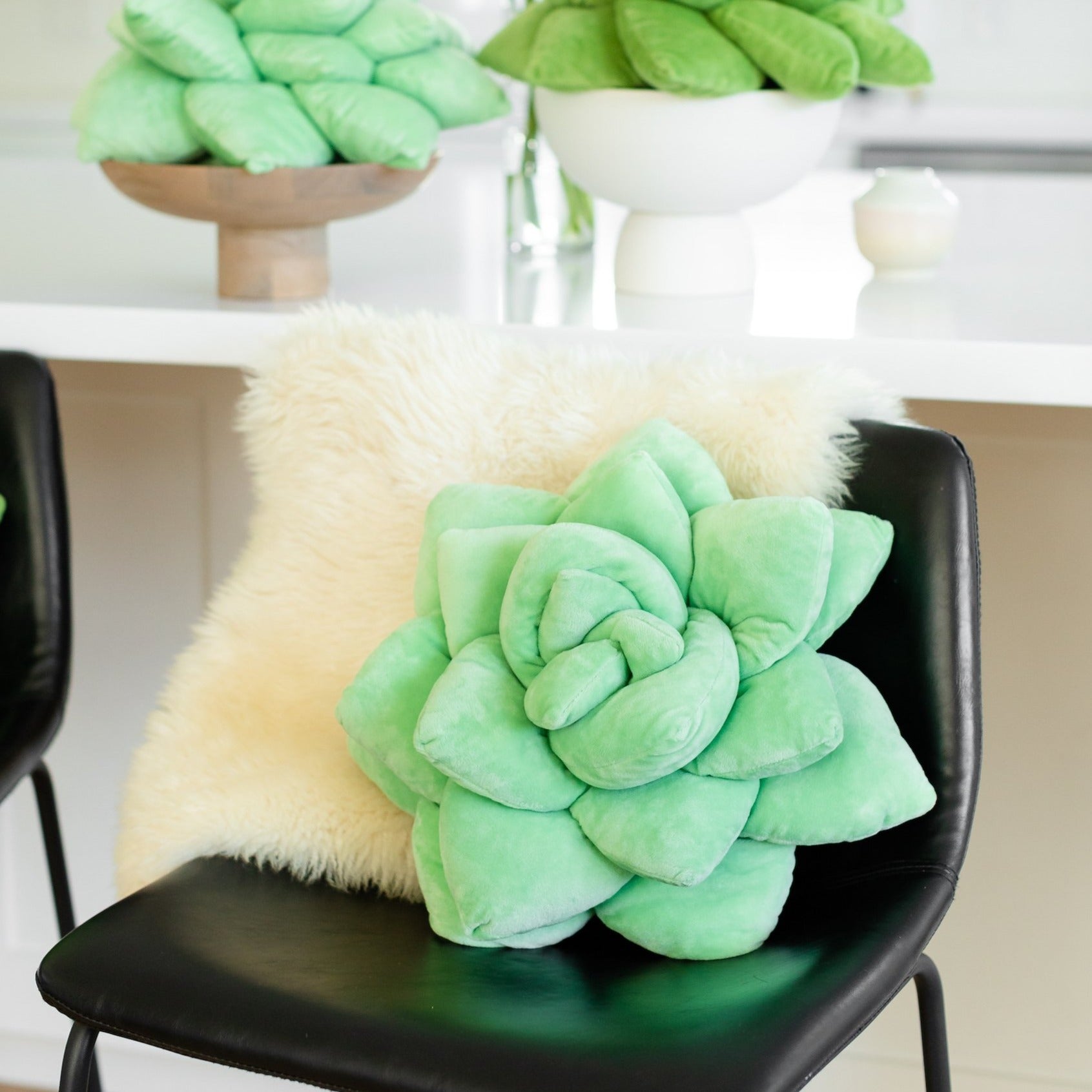Lifestyle photo showing Lil' Pop Succulent®  - Sage Green in use - Green Philosophy Co.