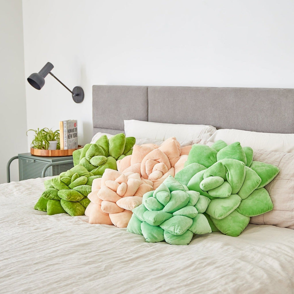 Product view 9 - Lil' Pop Succulent®  - Sage Green - Green Philosophy Co.