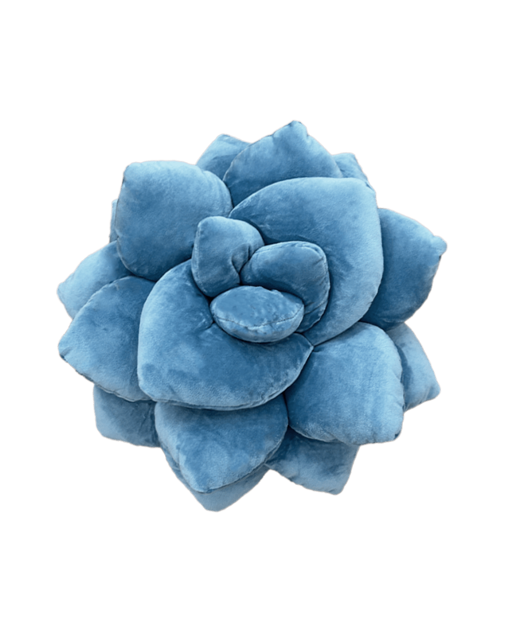 Lil' Pop Succulent® - Smokey Blue - premium quality - Green Philosophy Co.