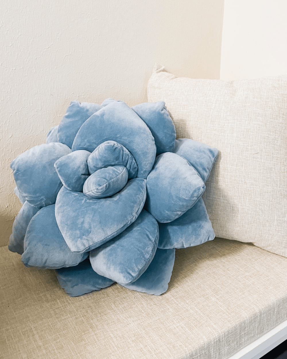 Product view 4 - Lil' Pop Succulent® - Smokey Blue - Green Philosophy Co.