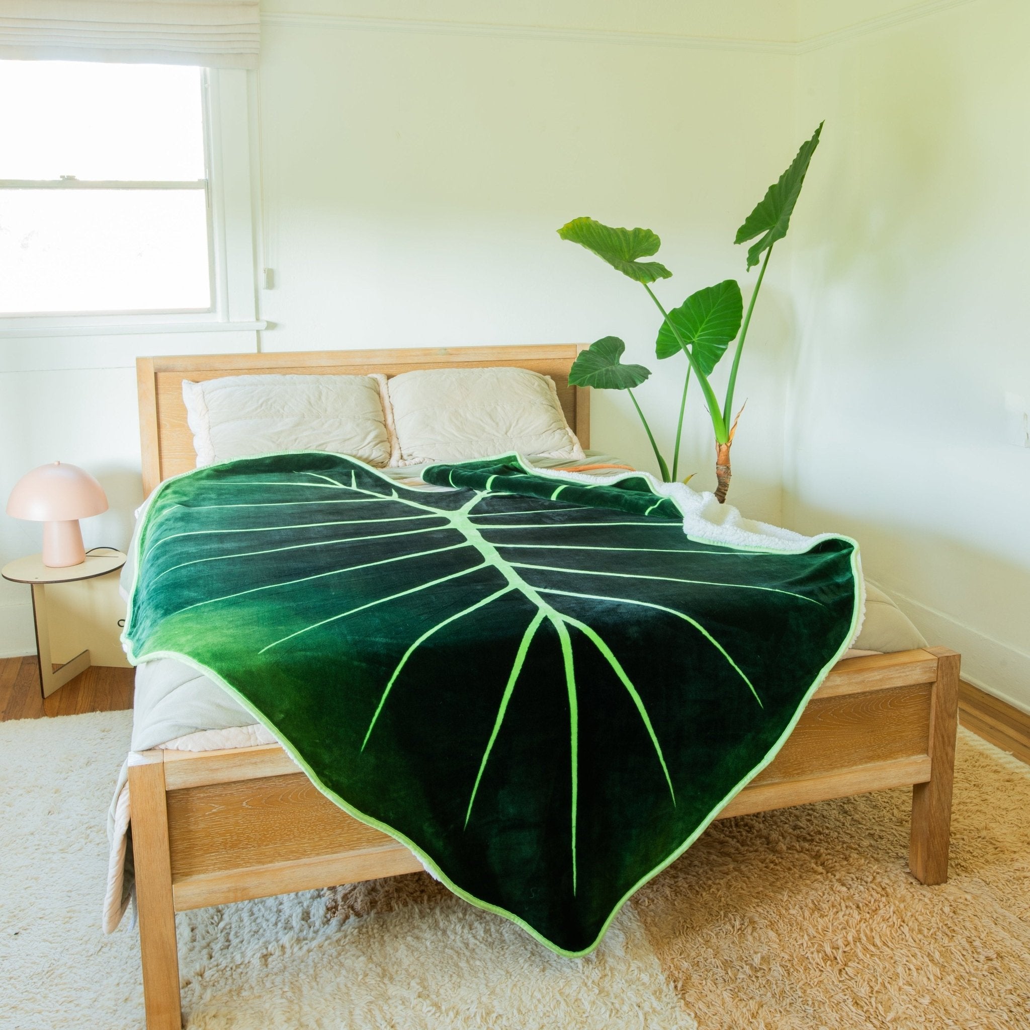 Lifestyle photo showing Regal Shield Giant Leaf Blanket in use - Green Philosophy Co.