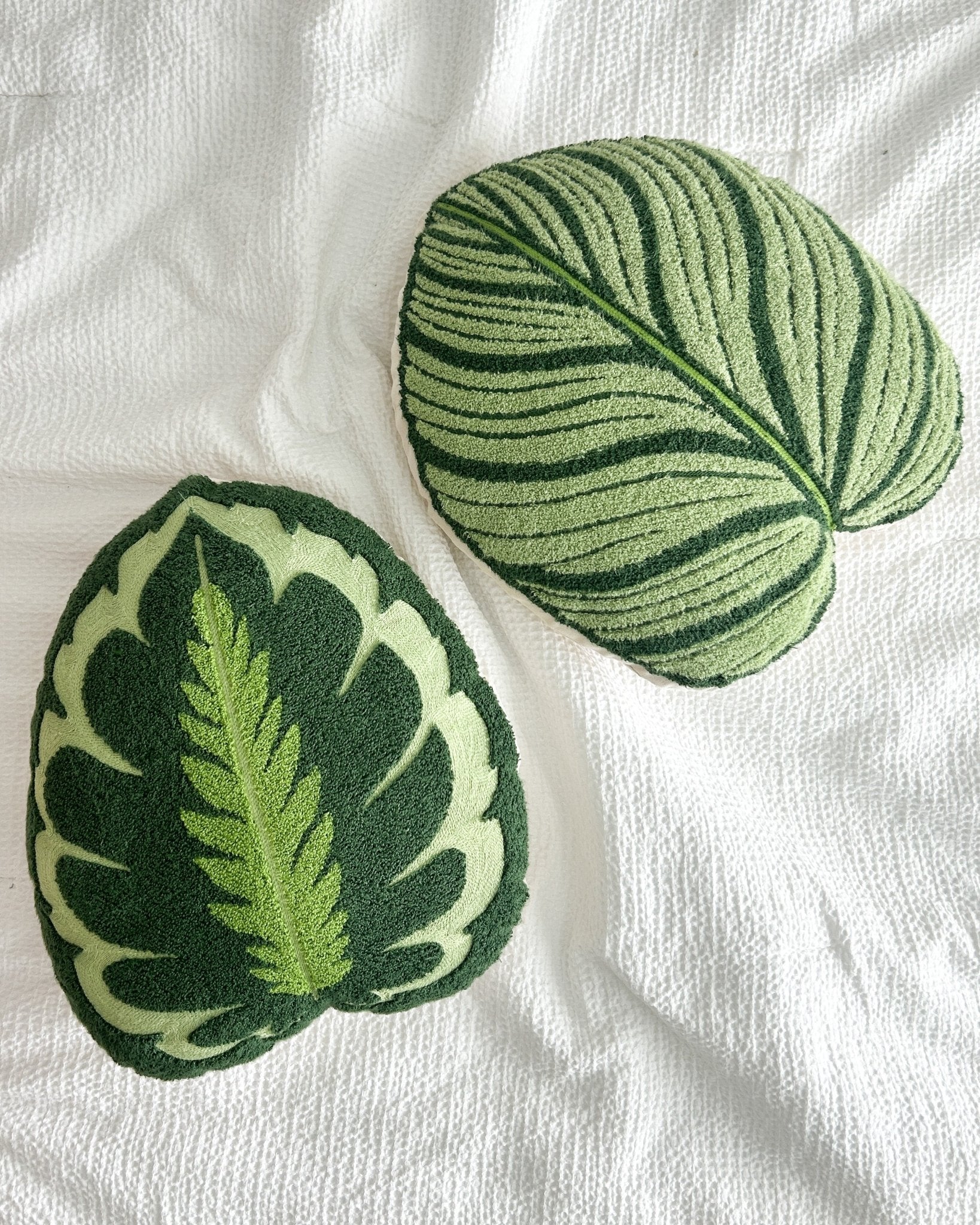 Lifestyle photo showing Tufted Calathea Medallion Leaf Pillow in use - Green Philosophy Co.
