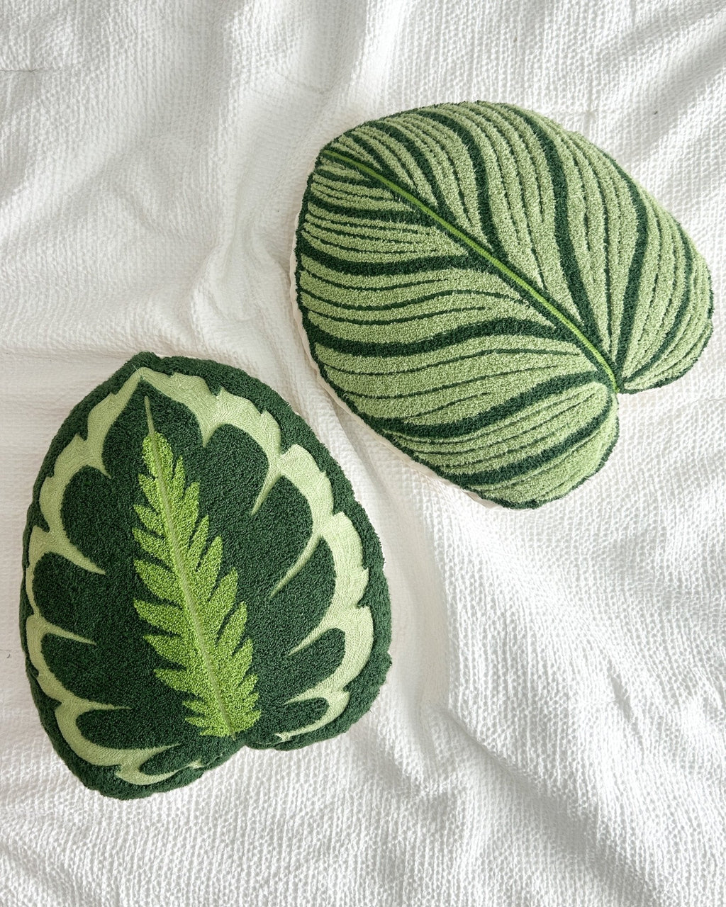 Lifestyle photo showing Tufted Calathea Orbifolia Leaf Pillow in use - Green Philosophy Co.